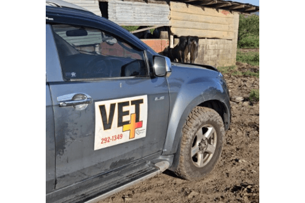 Rewards 1 Rewards 1